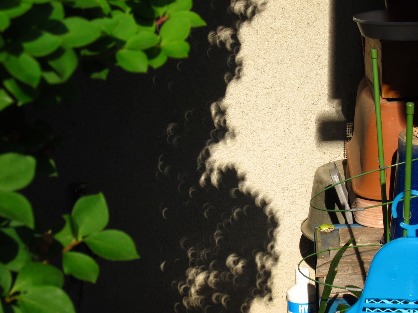 The day of an annular solar eclipse[photo_digital]