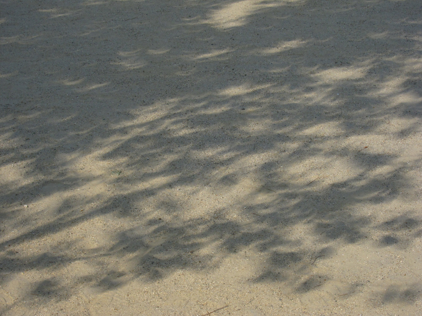 The day of an annular solar eclipse[photo_digital]