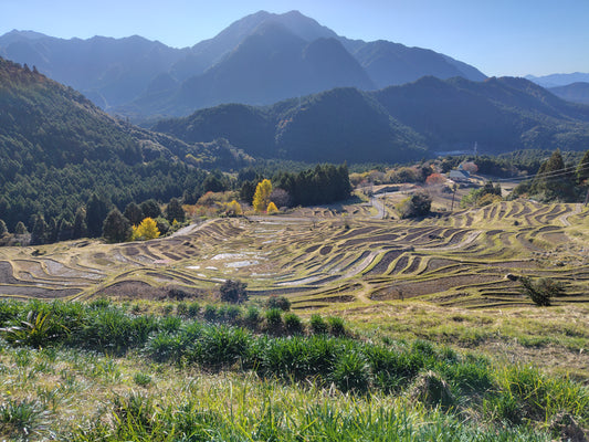 mountain_0002[photo_digital]